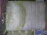image of grave number 613934